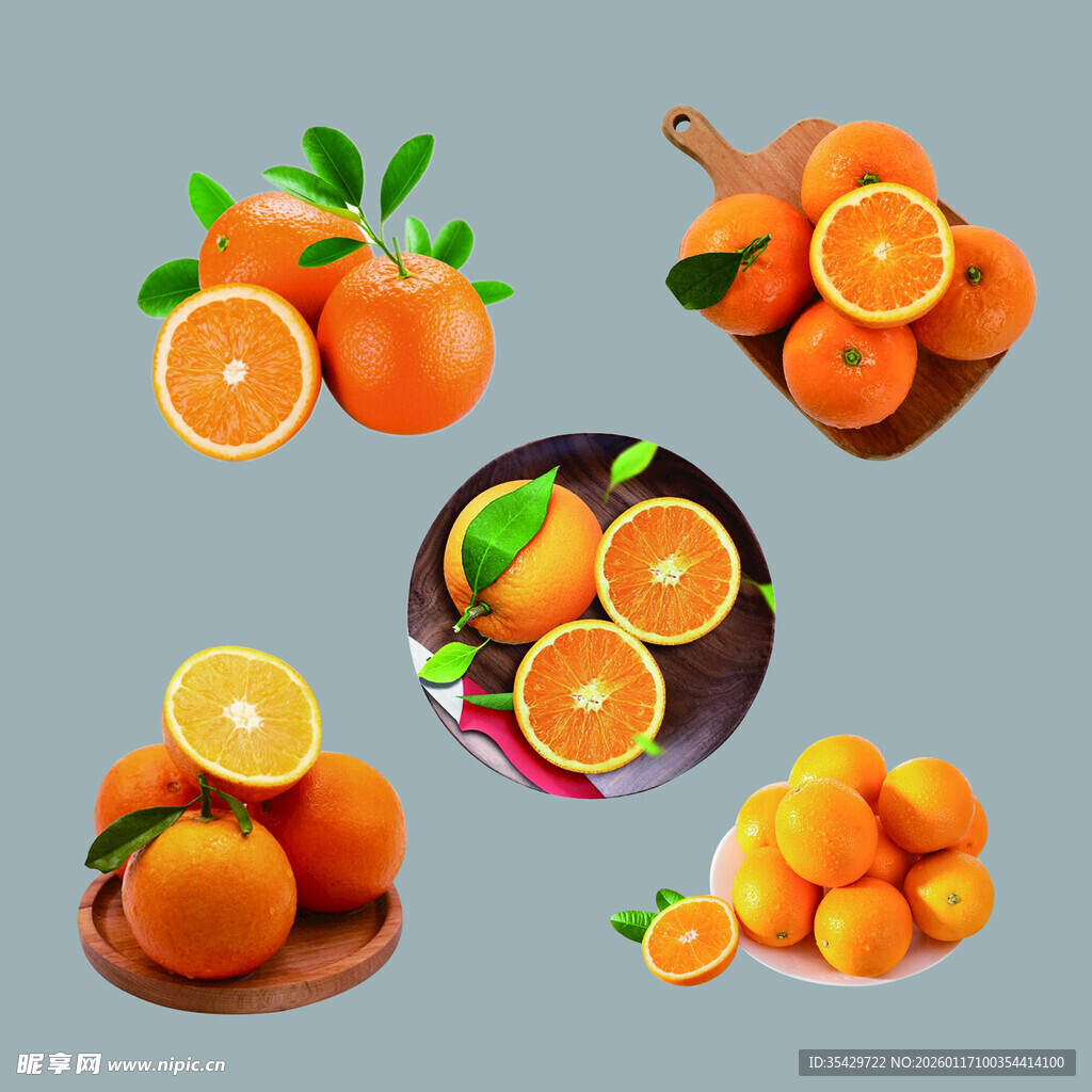 多样橙子展示图