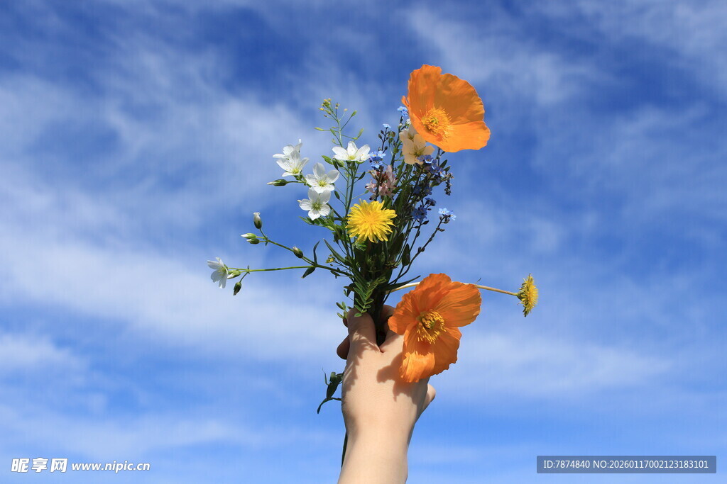 手举鲜花绽放于蓝天