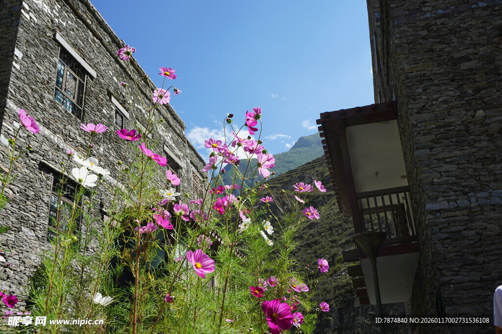 古巷繁花 自然与建筑之美