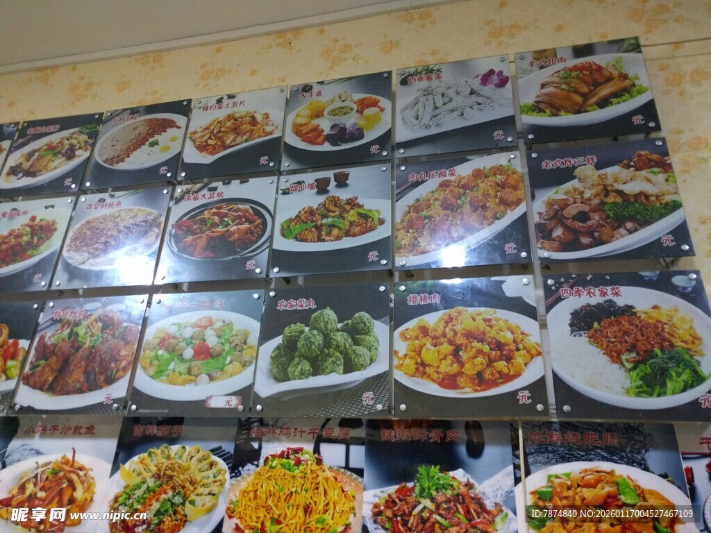 多样美味菜肴展示