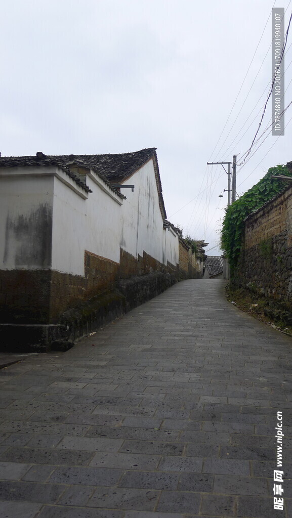 乡村小道旁的白墙民居