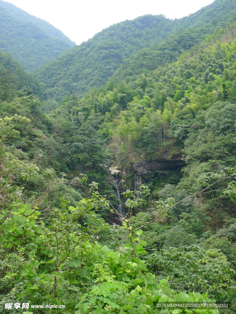 山间葱郁绿意景观