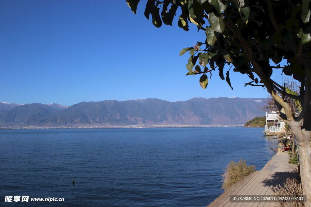 湖畔美景 树木与远山相映
