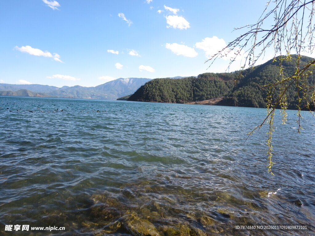 湖畔美景 水波荡漾