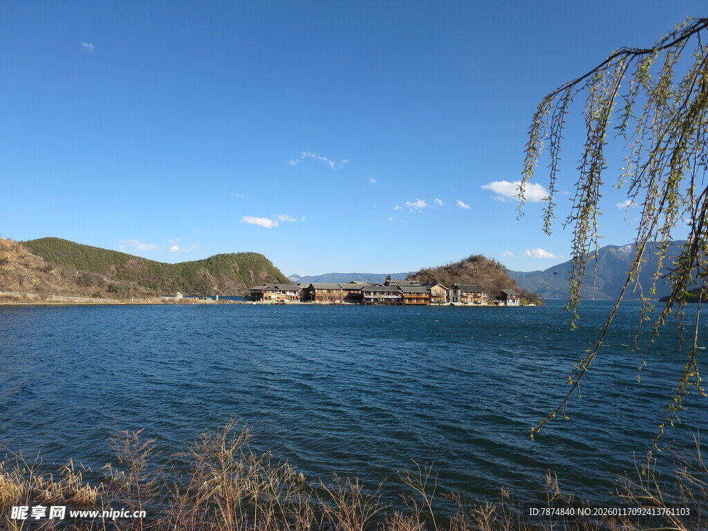 宁静湖畔 垂柳摇曳山水间
