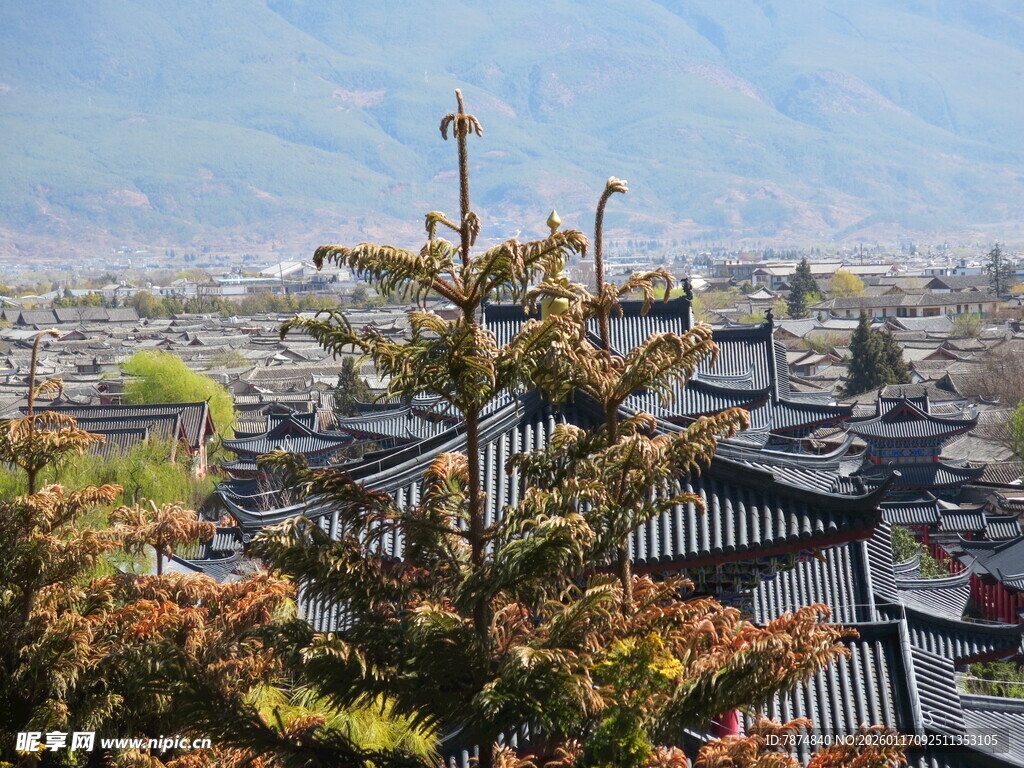 俯瞰古朴美丽的中式村落