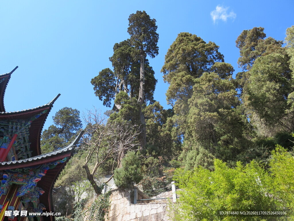 山林中的中式古建筑景观