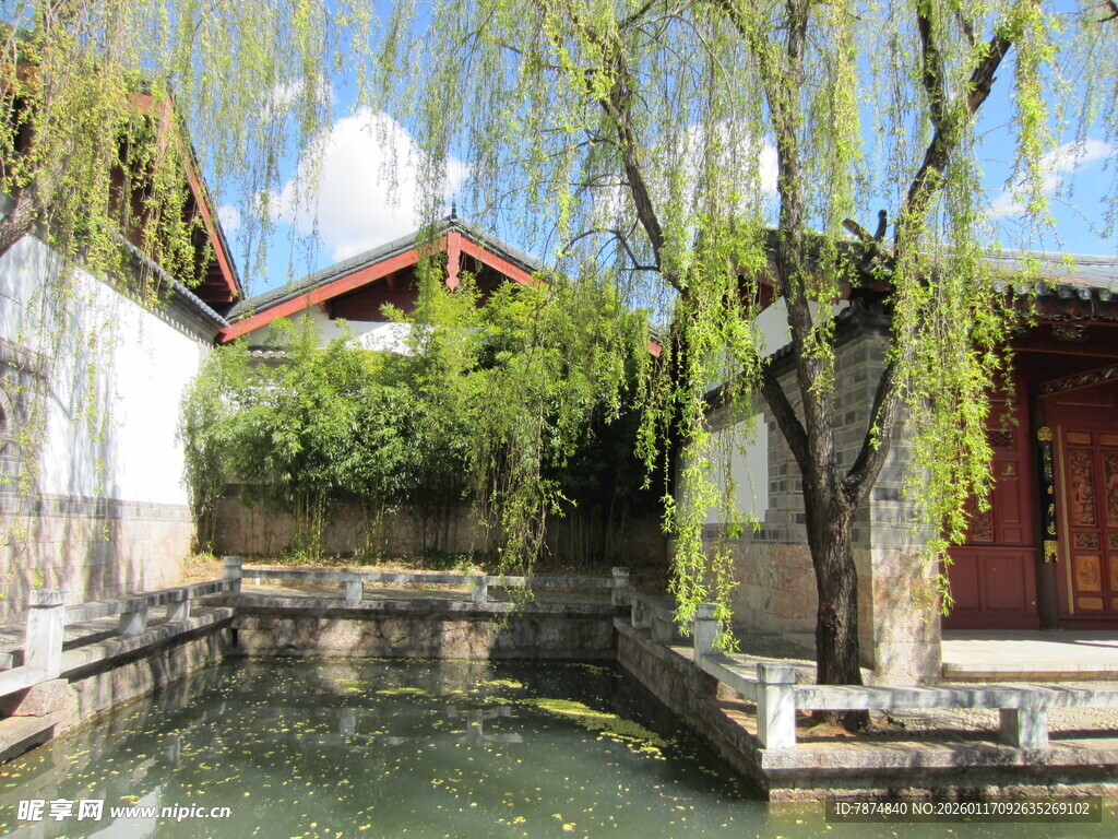中式庭院水景与垂柳