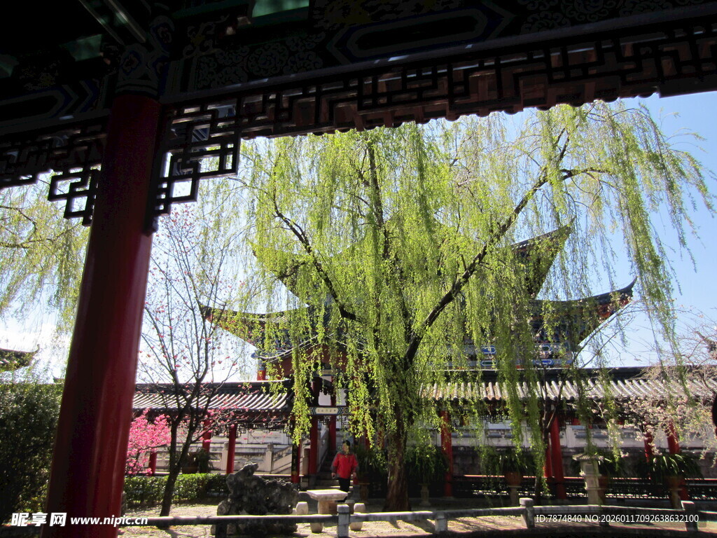 古亭垂柳下的中式景致