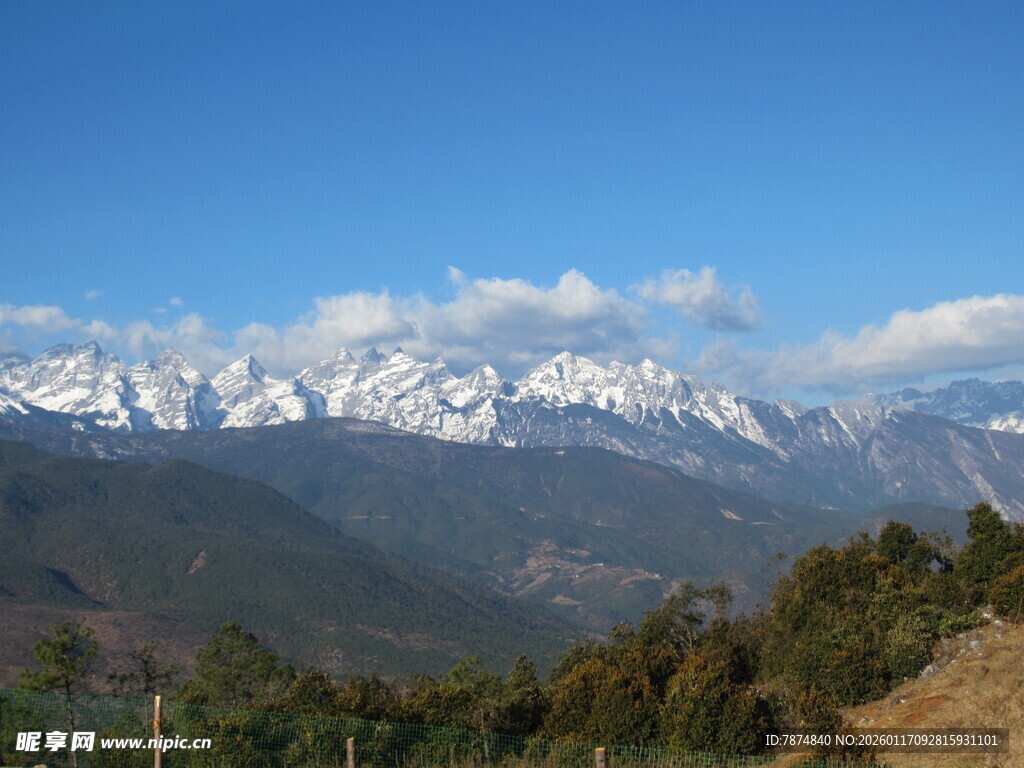 壮丽雪山与葱郁山林景观