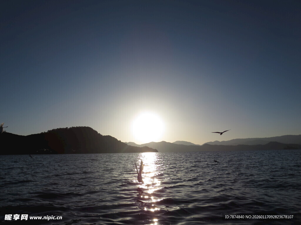 海上日出美景 飞鸟相伴