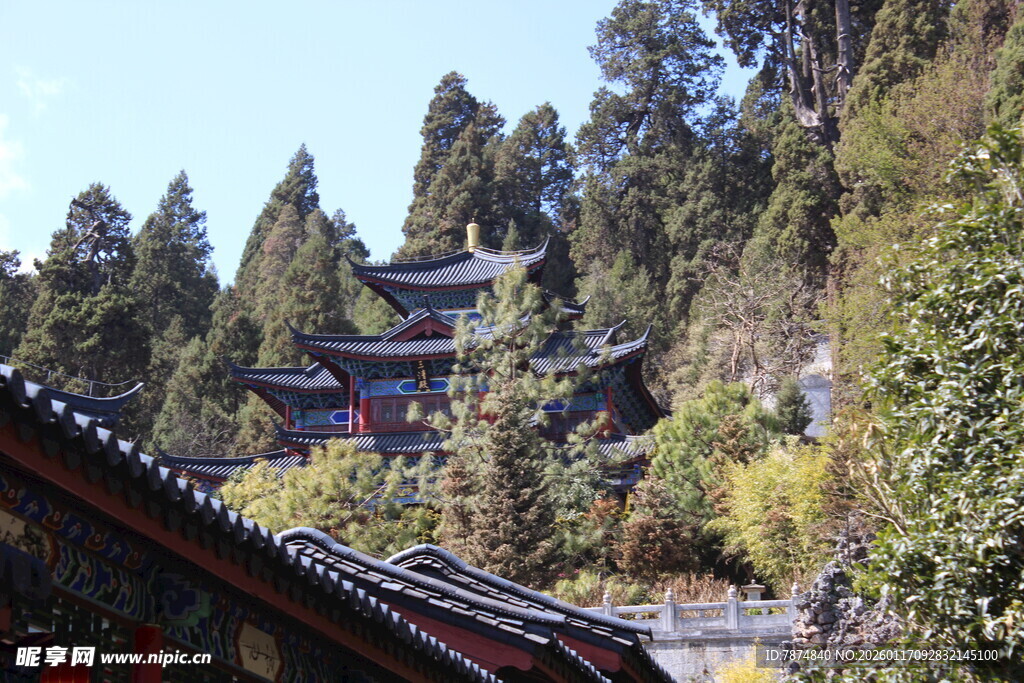 山间古建隐于葱郁林木