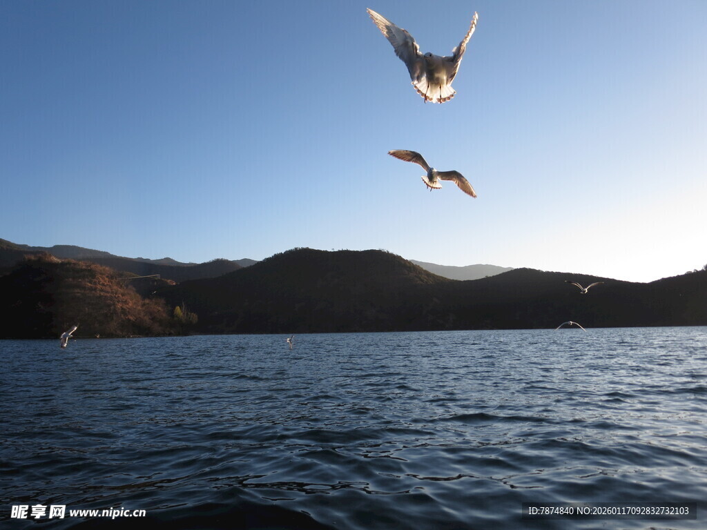 湖畔飞鸟伴远山美景