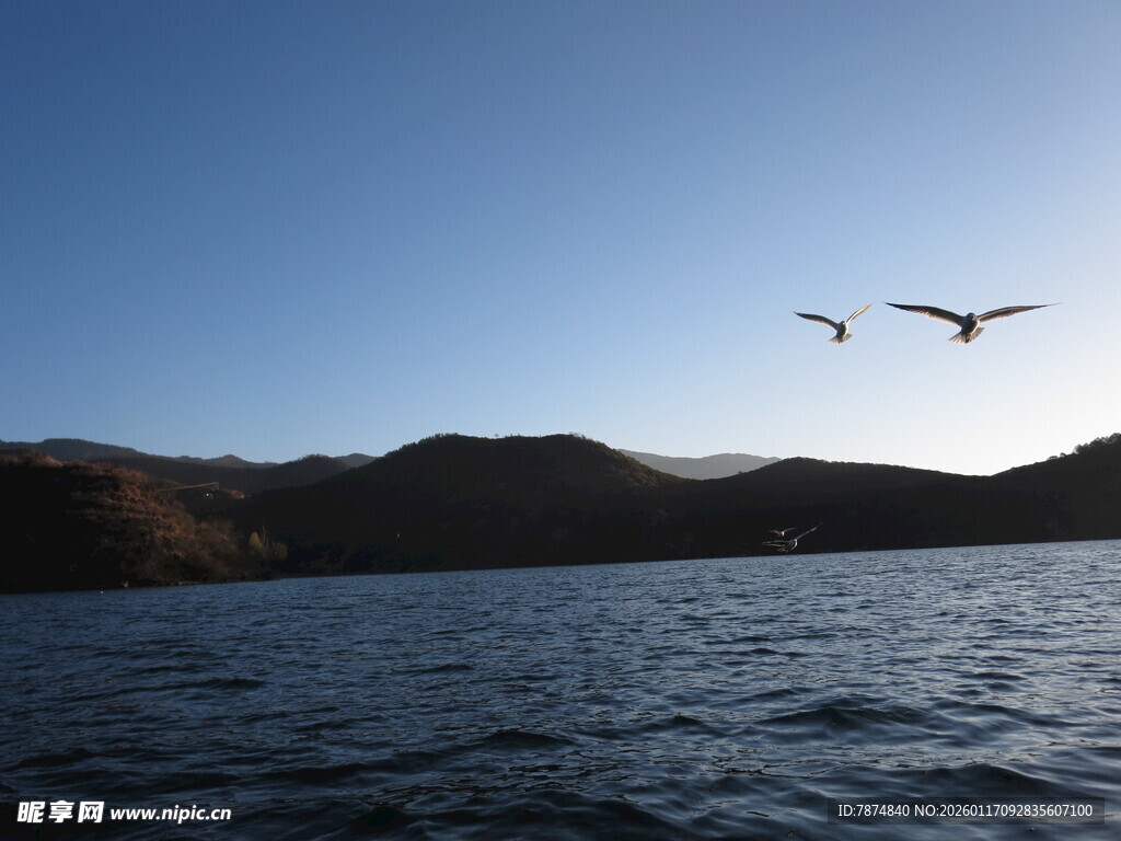 湖上空飞鸟与远山美景