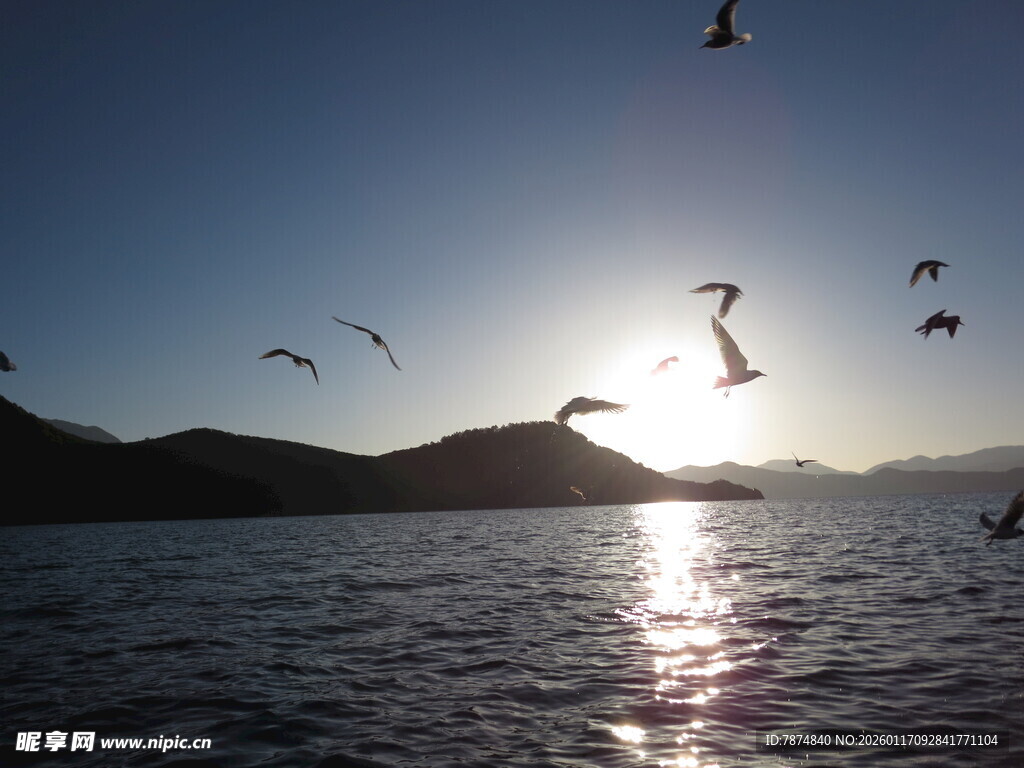 夕阳下湖面飞鸟美景