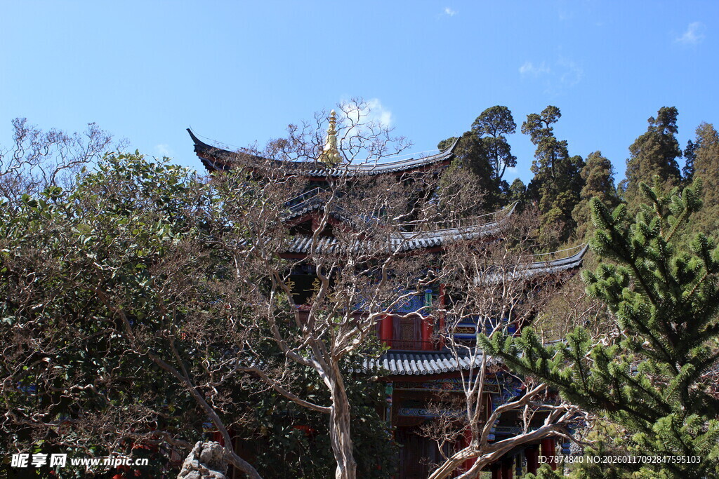 山林中的传统中式建筑