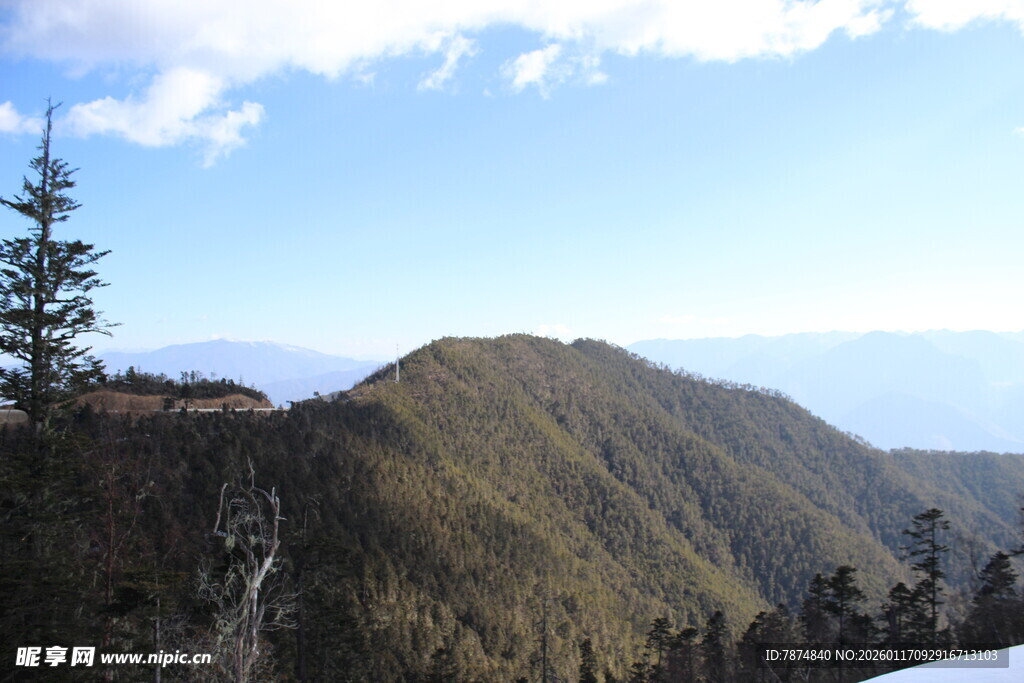 山峦松景 蓝天之下风光