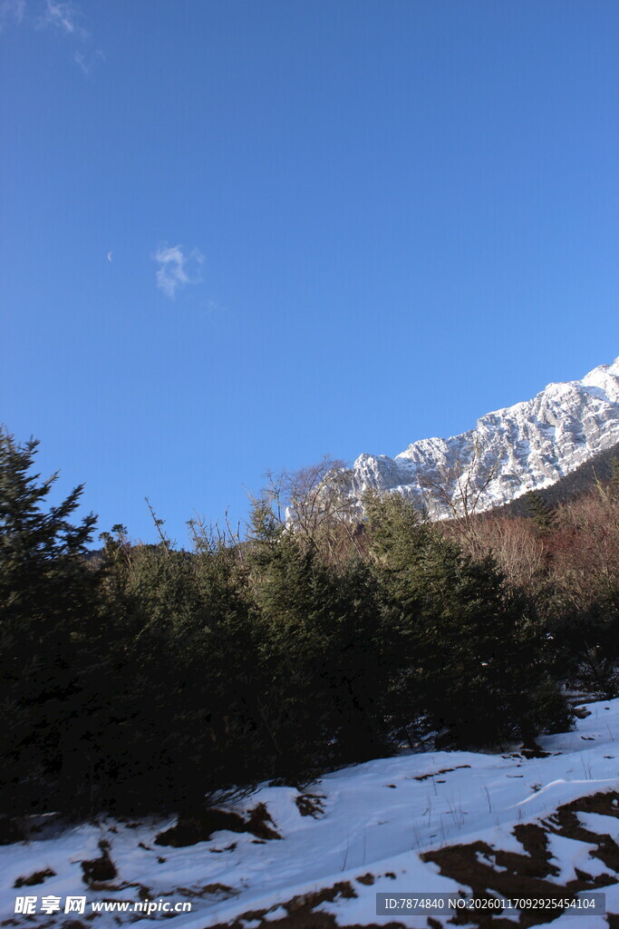 雪山下的葱郁山林