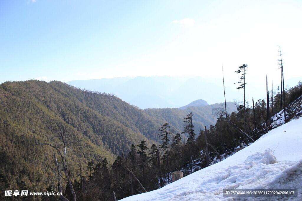 雪山山林壮丽风光