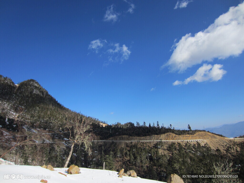 雪山蓝天间的山林美景