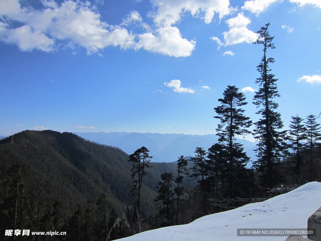 雪山松林间的壮美蓝天