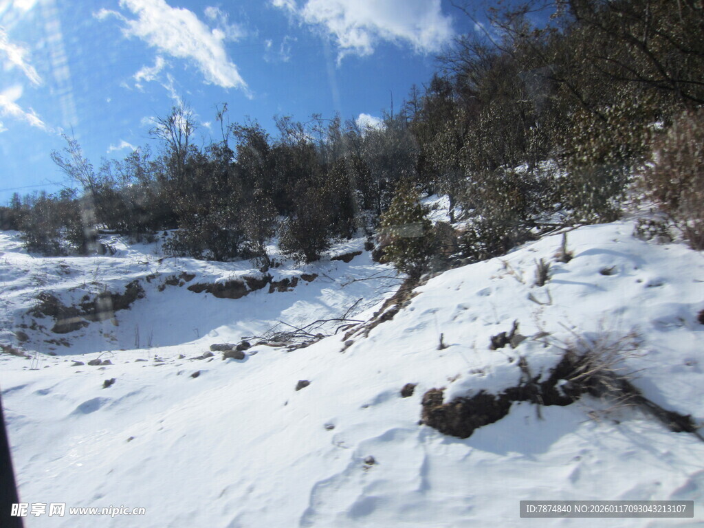 冬日雪覆山林美景
