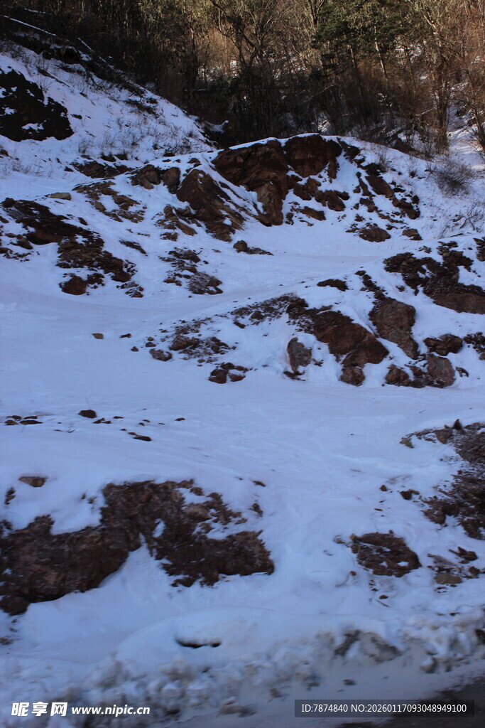 山坡覆雪景象