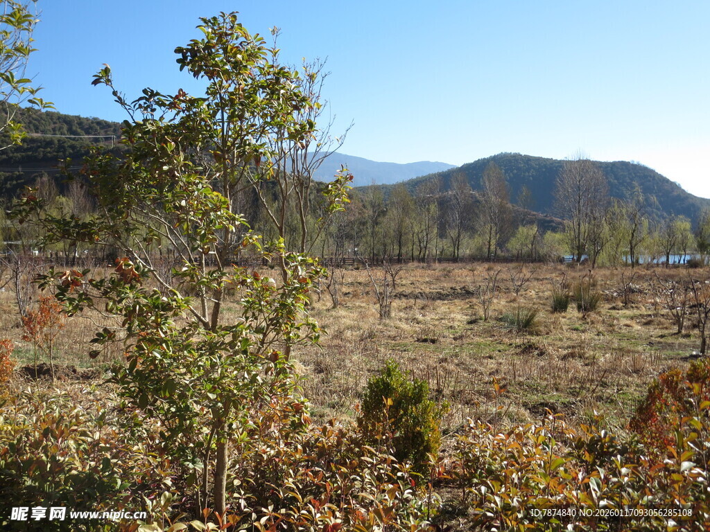 秋日山野风光