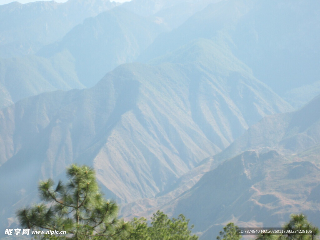 壮丽山峦与葱郁树木景观