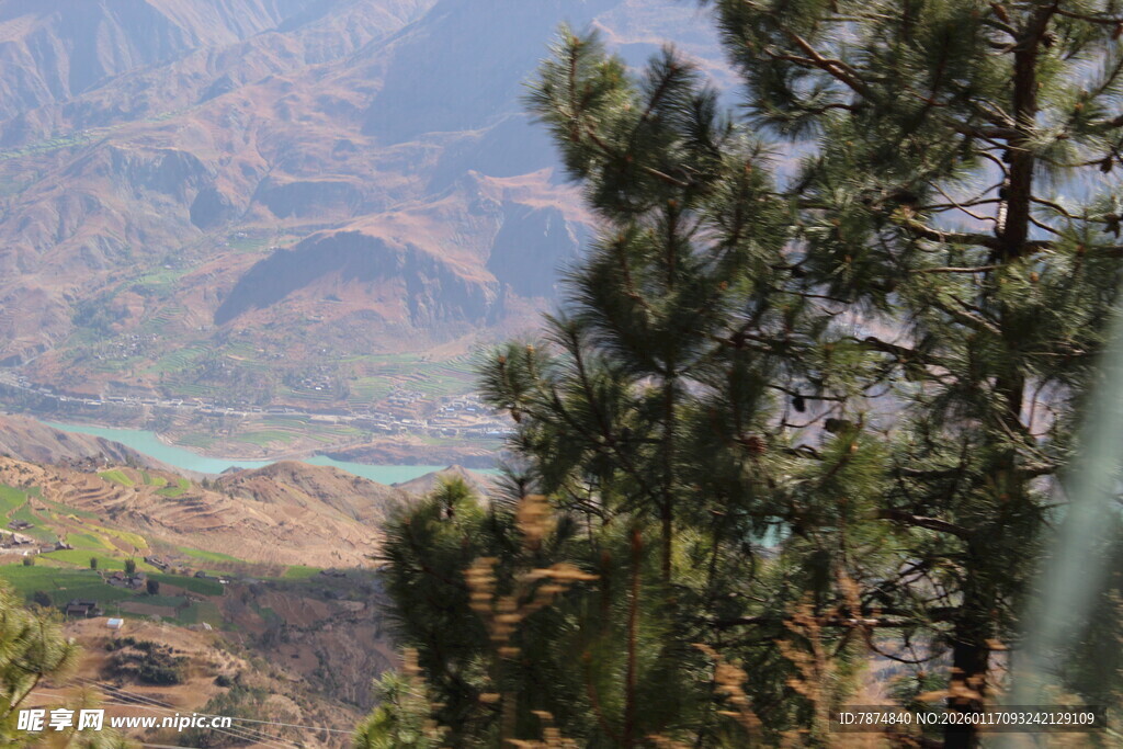 山间松景与远处河谷风光