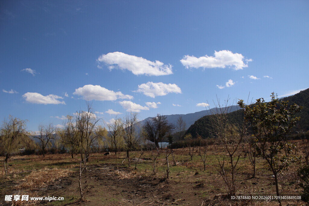 乡村旷野蓝天美景