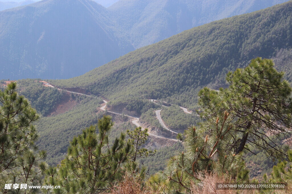 山间蜿蜒公路与葱郁树木