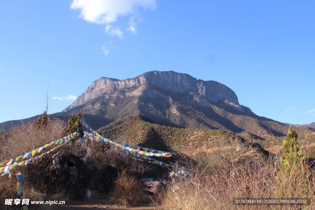 山间景致 孤木静立远山前
