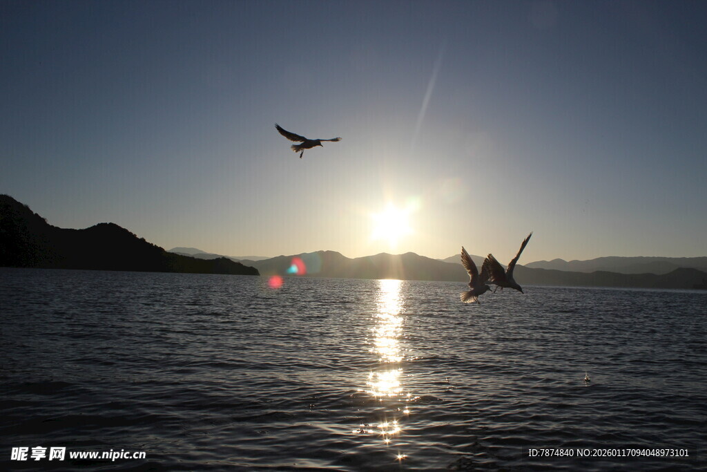 夕阳下海面飞鸟的美丽景象
