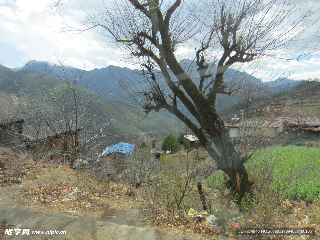 山村枯树边的田园景致