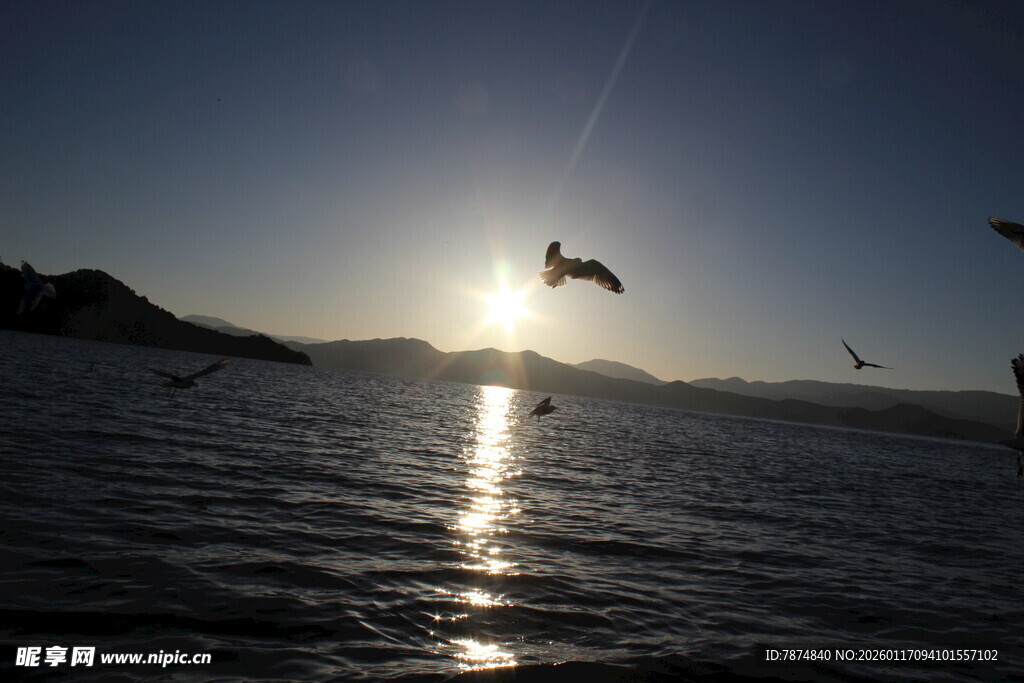 海上夕阳下的飞鸟美景