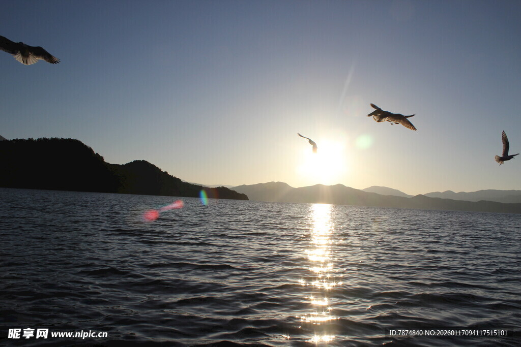 夕阳下海面飞鸟美景