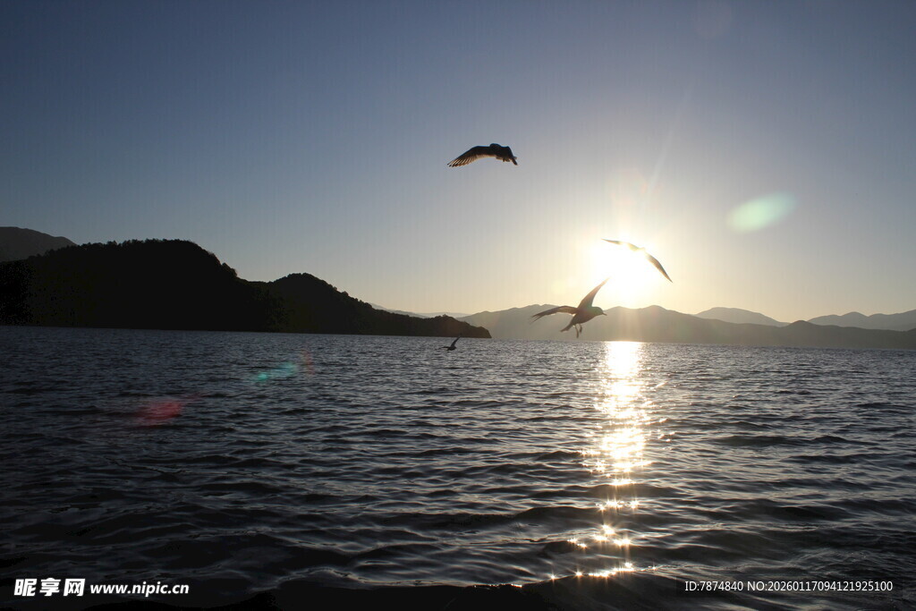 海上日出飞鸟美景