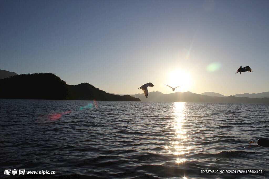 夕阳下海面飞鸟翱翔