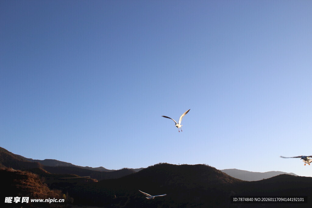 蓝天飞鸟与远山