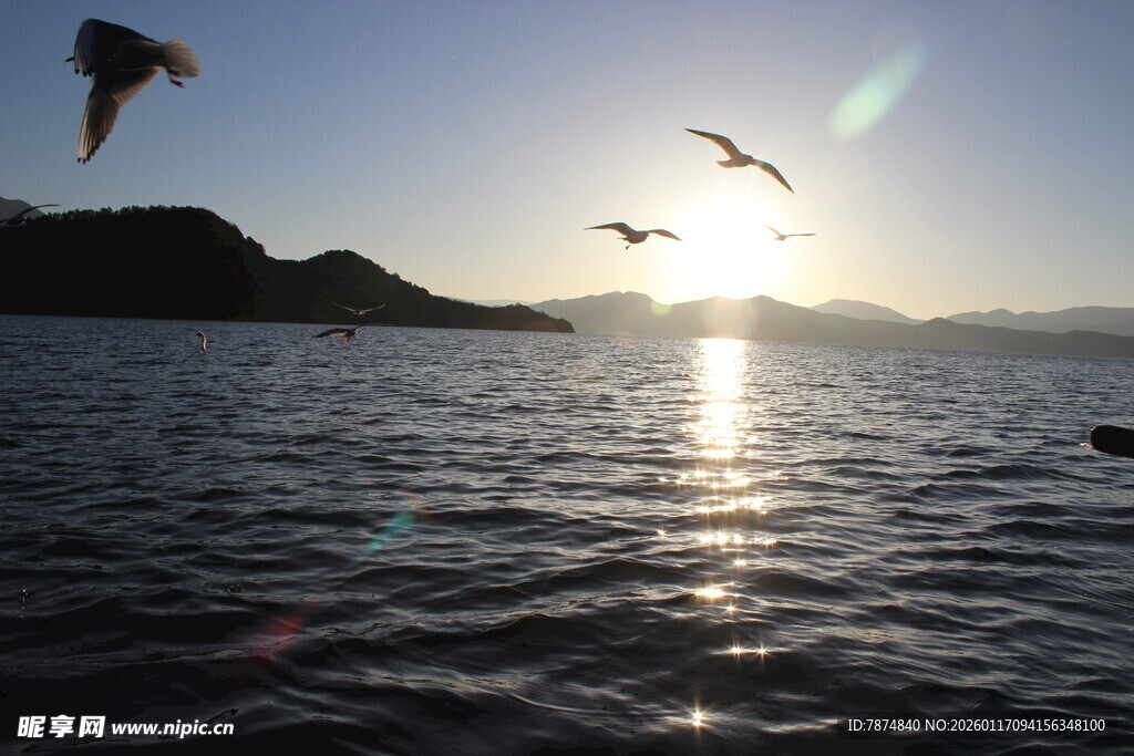 夕阳下海面飞鸟与远山