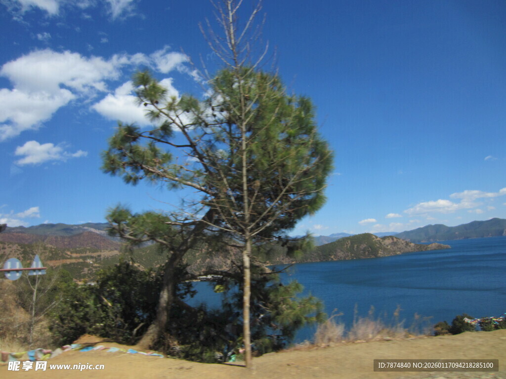 湖畔孤树蓝天美景
