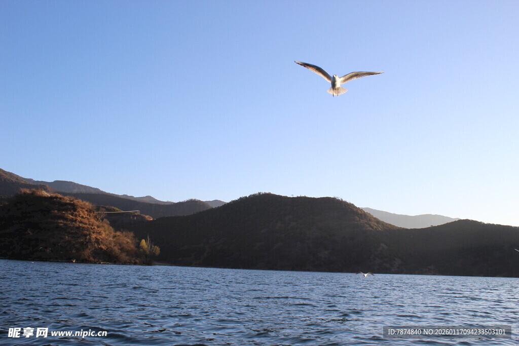 湖畔飞鸟与远山美景