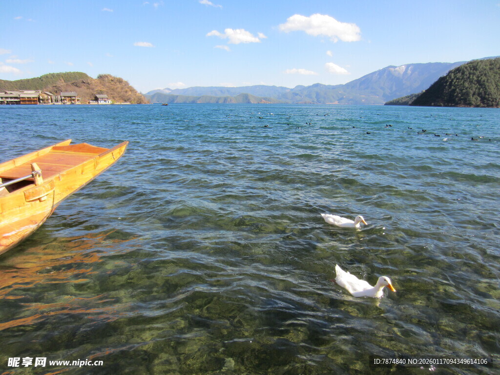 湖上泛舟伴飞鸟