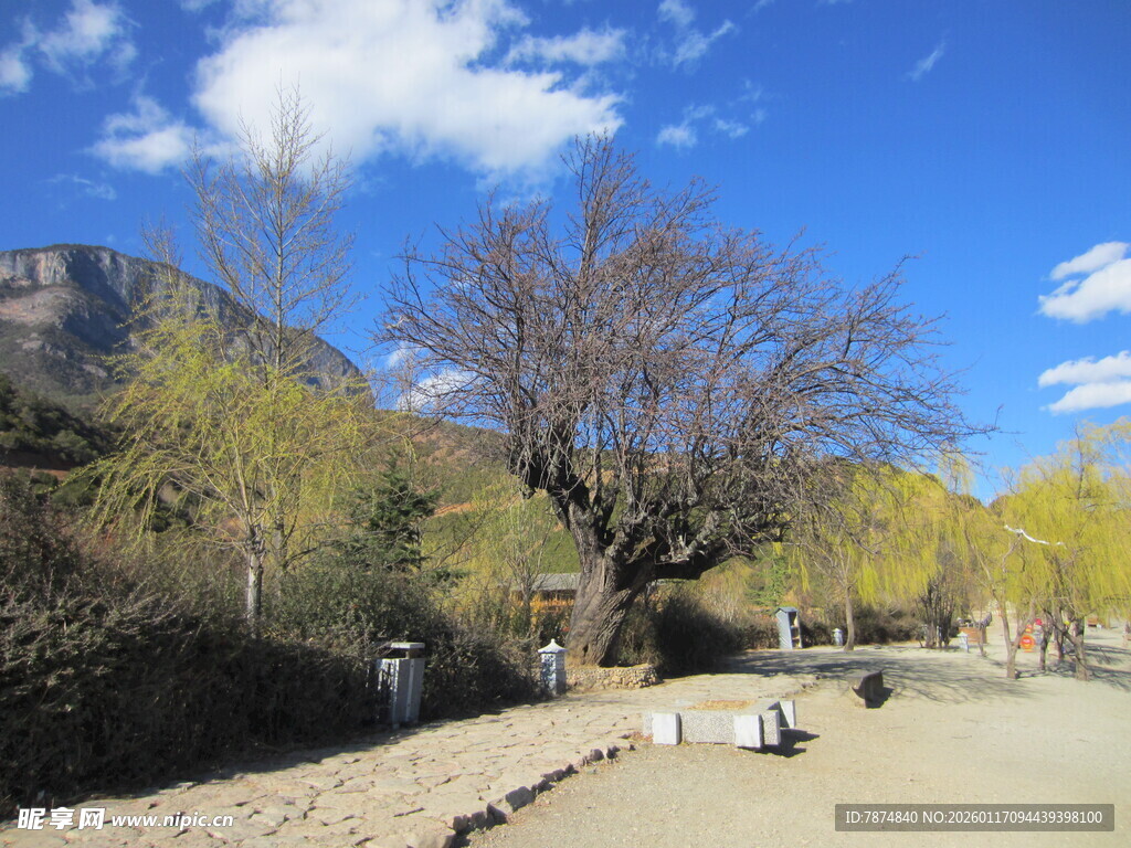 山间河畔风景