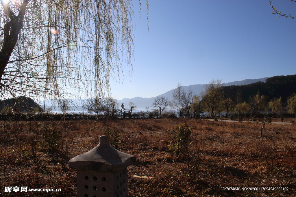 秋日郊野垂柳与远山景色