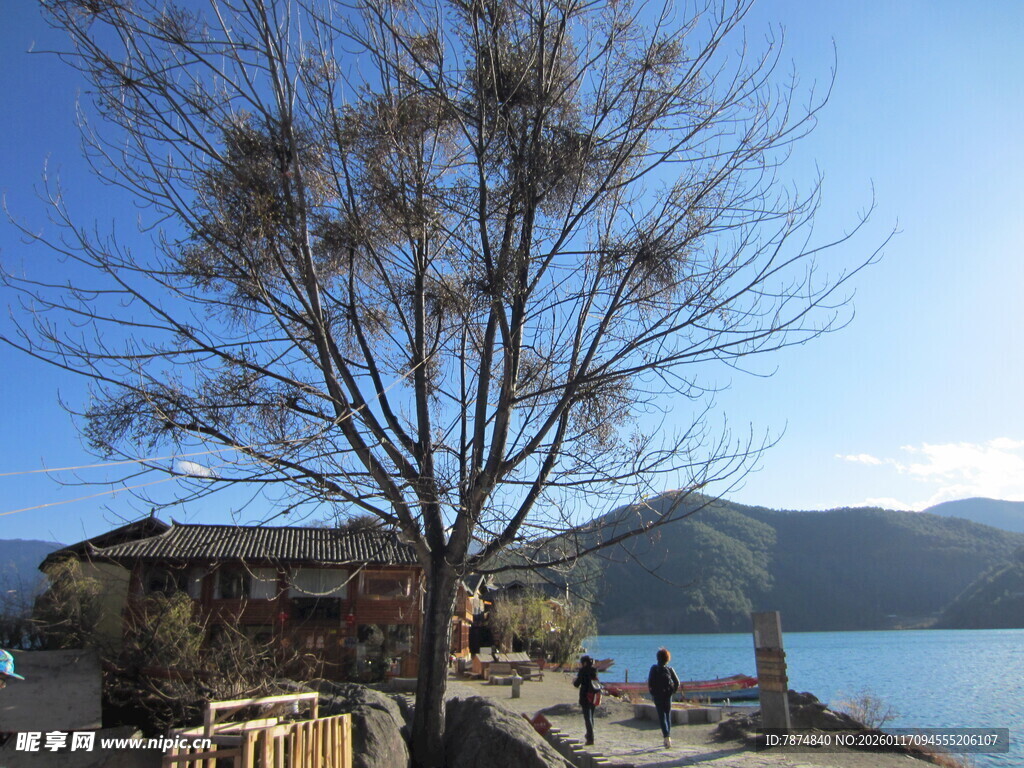 湖畔小屋旁的萧瑟树木