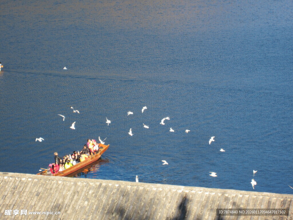 海边小船伴海鸥飞翔