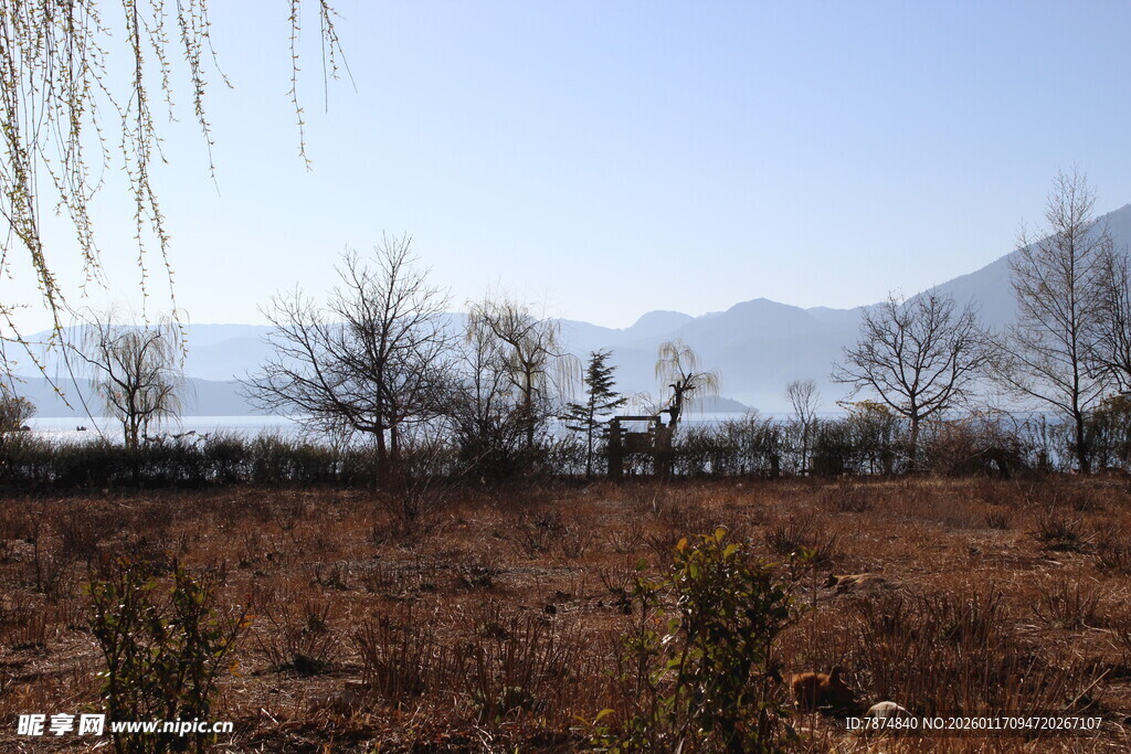 湖畔荒野风光