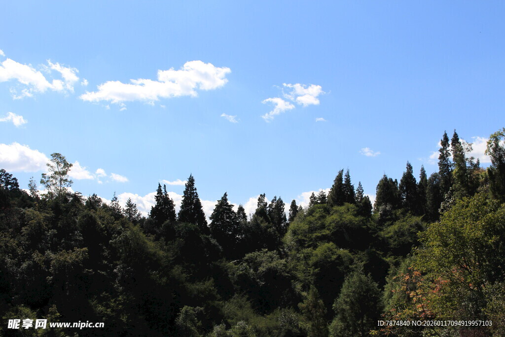 蓝天绿树的山林美景